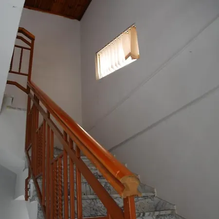 Niko * Shkoder